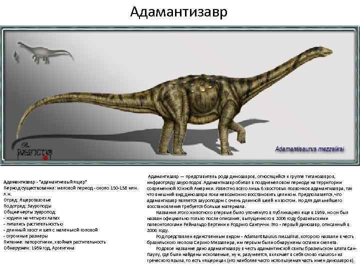 Адамантизавр - "адамантиевый ящер" Период существования: меловой период - около 150 -138 млн. л.