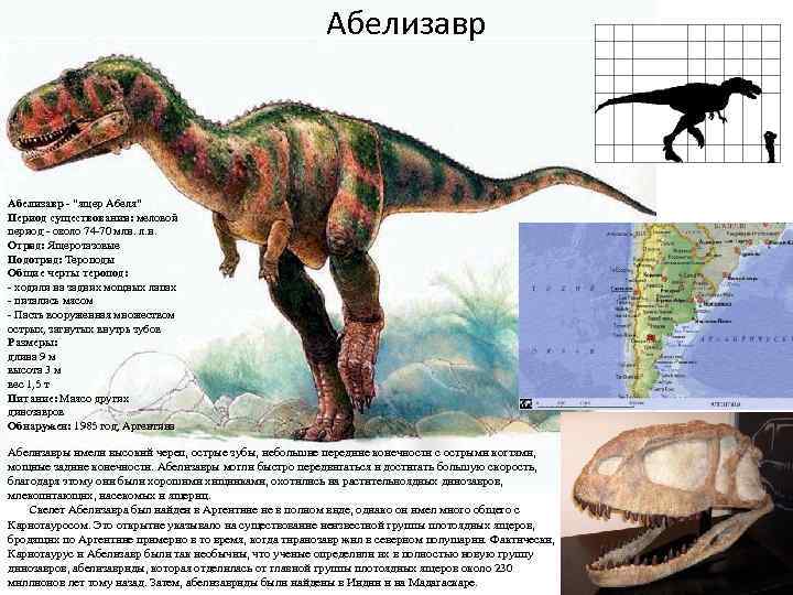 Абелизавр - "ящер Абеля" Период существования: меловой период - около 74 -70 млн. л.
