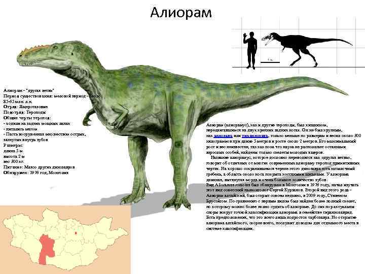 Алиорам - "другая ветвь" Период существования: меловой период - около 85 -65 млн. л.