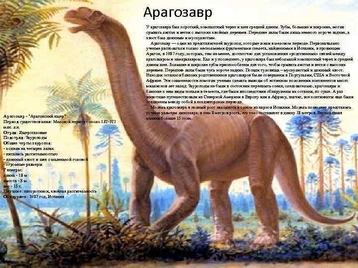 Арагозавр - "Арагонский ящер" Период существования: Меловой период - около 132 -121 млн. л.