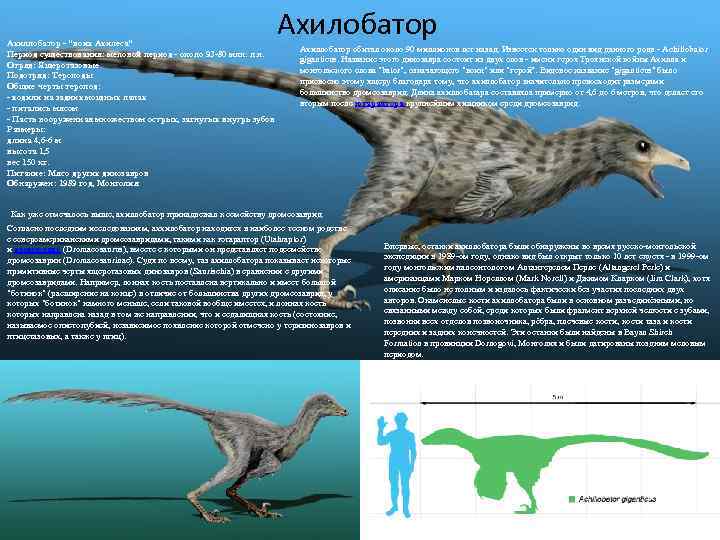 Ахиллобатор - "воих Ахилеса" Период существования: меловой период - около 93 -80 млн. л.