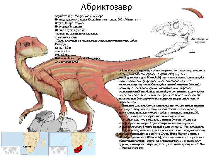 Абриктозавр - "бодрствующий ящер" Период существования: Юрский период - около 200 -190 млн. л.
