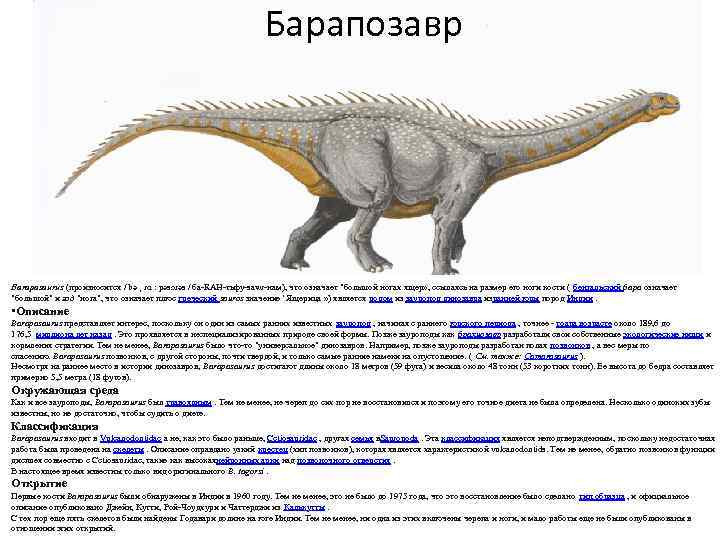 Барапозавр Barapasaurus (произносится / bə ˌ rɑ ː pəsɔrəs / ба-RAH-тьфу-sawr-нам), что означает "большой