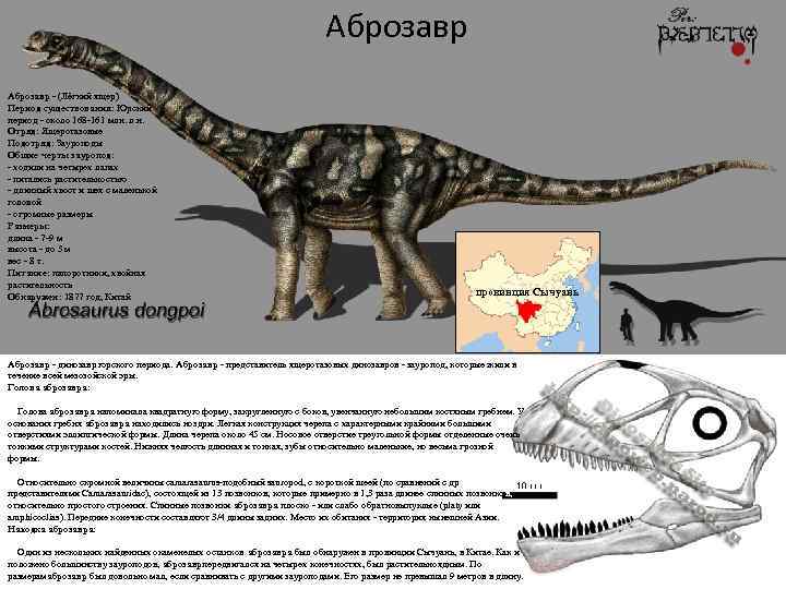 Аброзавр - (Лёгкий ящер) Период существования: Юрский период - около 168 -161 млн. л.