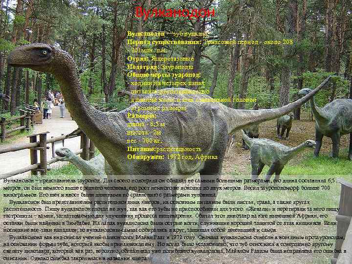 Вулканодон - "зуб вулкана" Период существования: Триасовый период - около 208 - 201 млн.