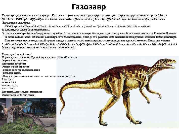 Газозавр - динозавр юрского периода. Газозавр - представитель рода ящеротазовых динозавров из группы Avetheropoda.