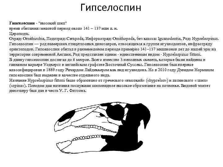 Гипселоспин - "высокий шип" время обитания: меловой период около 141 – 137 млн л.