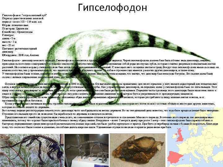 Гипселофодон: "остроконечный зуб" Период существования: меловой период - около 125 - 119 млн. л.