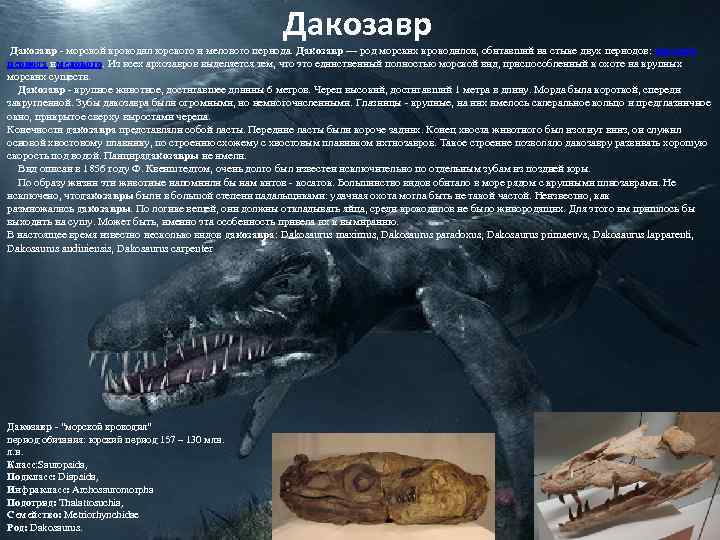 Дакозавр - морской крокодил юрского и мелового периода. Дакозавр — род морских крокодилов, обитавший