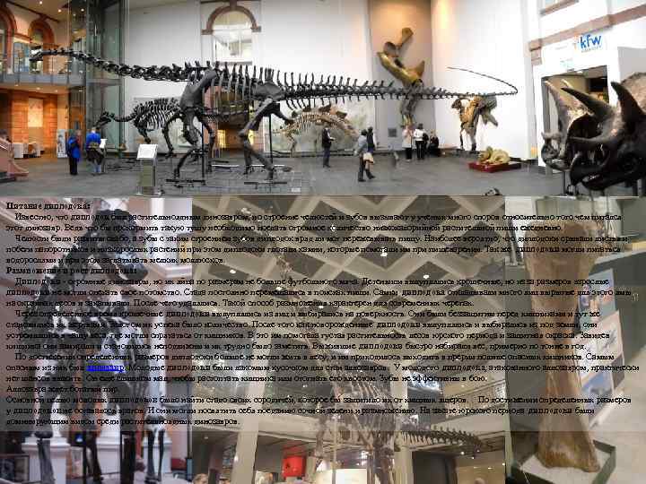 Питание диплодока: Известно, что диплодок был растительноядным динозавром, но строение челюстей и зубов вызывают