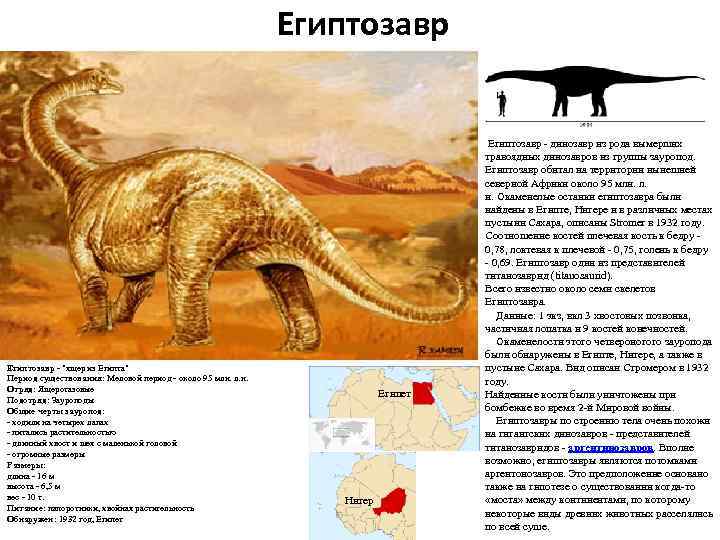 Египтозавр - "ящер из Египта" Период существования: Меловой период - около 95 млн. л.