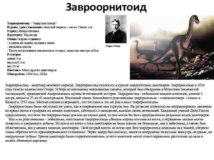 Завроорнитоид - "ящер как птица" Период существования: меловой период - около 75 млн. л.