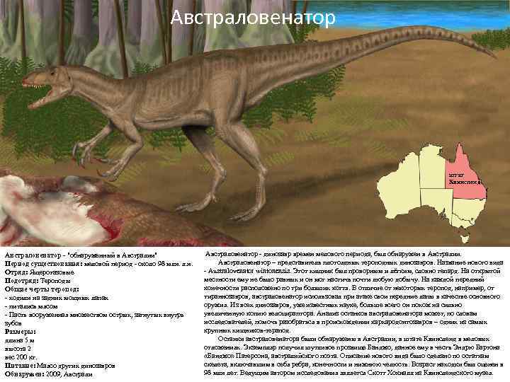 Австраловенатор штат Квинсленд Австраловенатор - "обнаруженный в Австралии" Период существования: меловой период - около