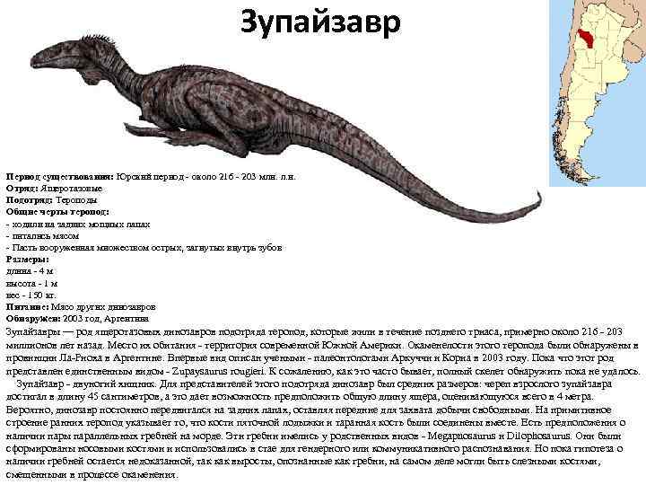 Зупайзавр Период существования: Юрский период - около 216 - 203 млн. л. н. Отряд: