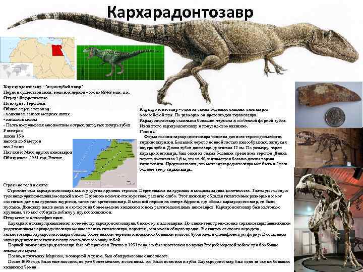 Кархарадонтозавр - "акулозубый ящер" Период существования: меловой период - около 98 -93 млн. л.