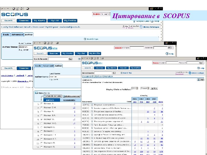 Цитирование в SCOPUS 