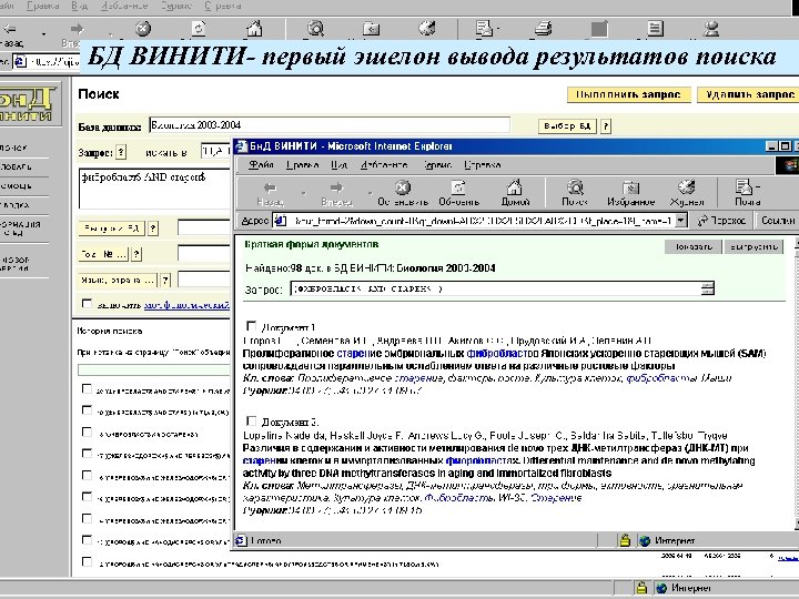 БД ВИНИТИ- первый эшелон вывода результатов поиска 
