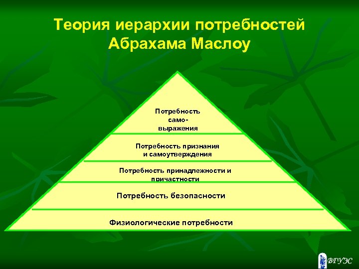 Теория иерархии потребностей Абрахама Маслоу Потребность самовыражения Потребность признания и самоутверждения Потребность принадлежности и