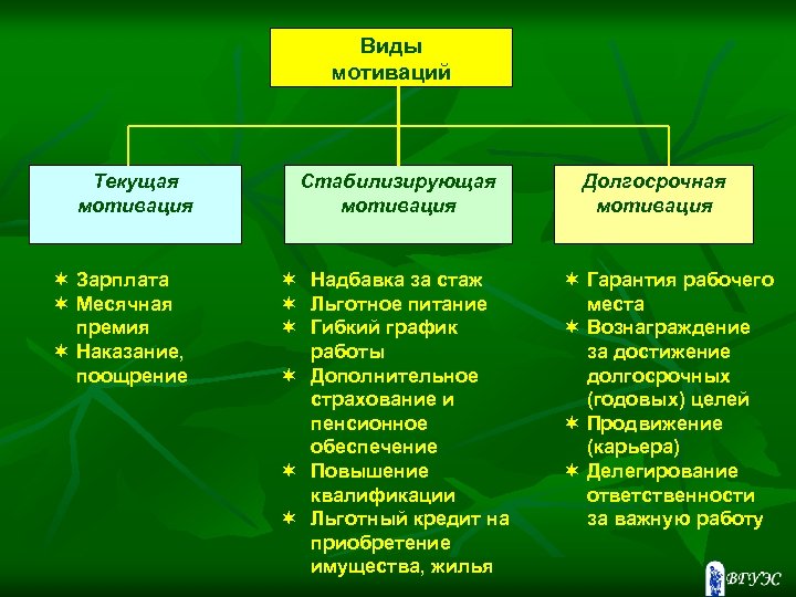 Виды мотиваций Текущая мотивация ¬ Зарплата ¬ Месячная премия ¬ Наказание, поощрение Стабилизирующая мотивация