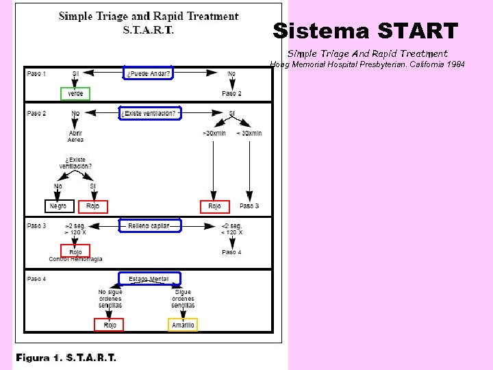 Sistema START Simple Triage And Rapid Treatment Hoag Memorial Hospital Presbyterian. California 1984 