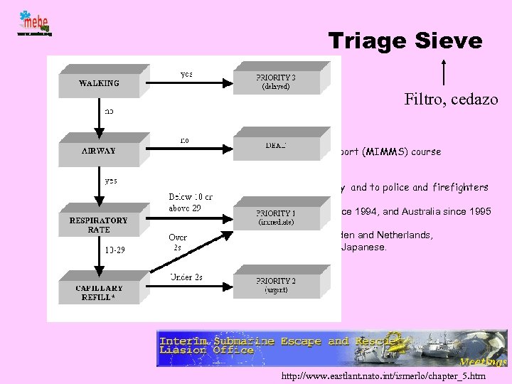 Triage Sieve Filtro, cedazo • broad acceptability through the international Major Incident Medical Management