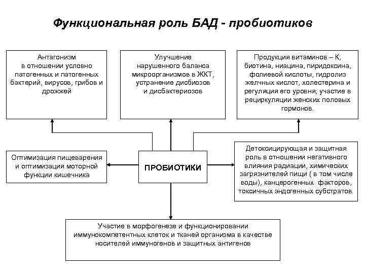 Функциональная роль