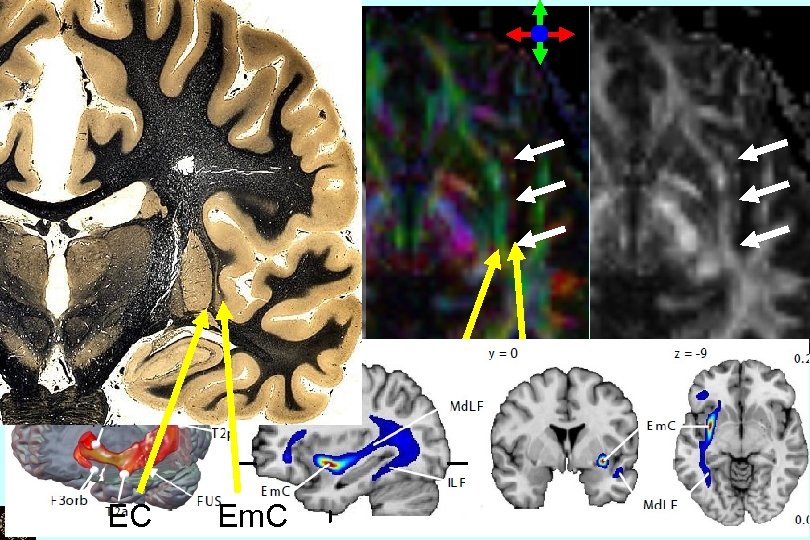 b=0 Vector map EC EC Em. C FA map 