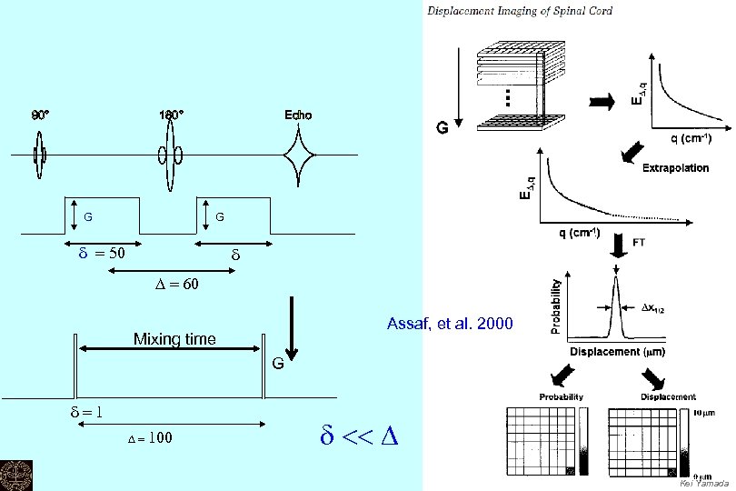 90° 180° G Echo G d = 50 d D = 60 Assaf, et