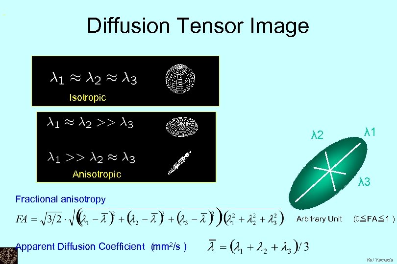Diffusion Tensor Image Isotropic λ 2 Anisotropic λ 1 λ 3 Fractional anisotropy Arbitrary