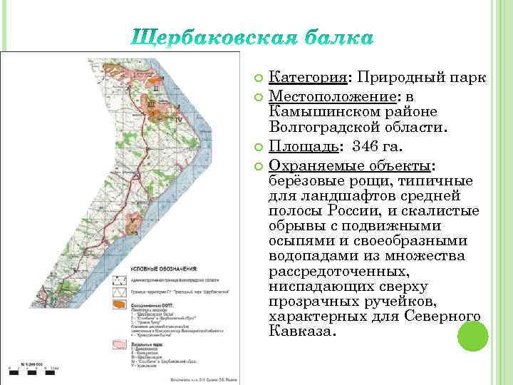  Категория: Природный парк Местоположение: в Камышинском районе Волгоградской области. Площадь: 346 га. Охраняемые