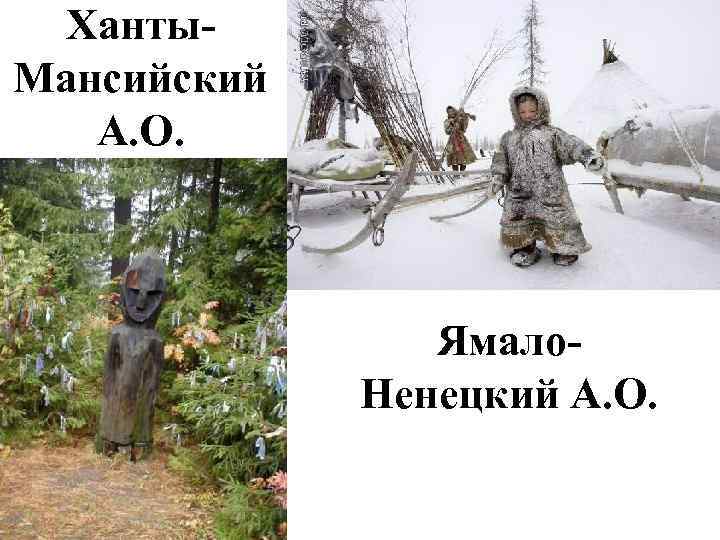 Ханты. Мансийский А. О. Ямало. Ненецкий А. О. 