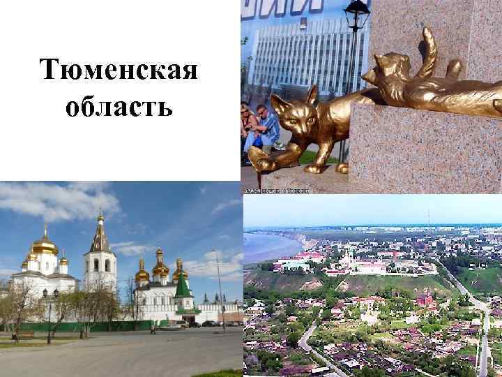 Тюменская область 