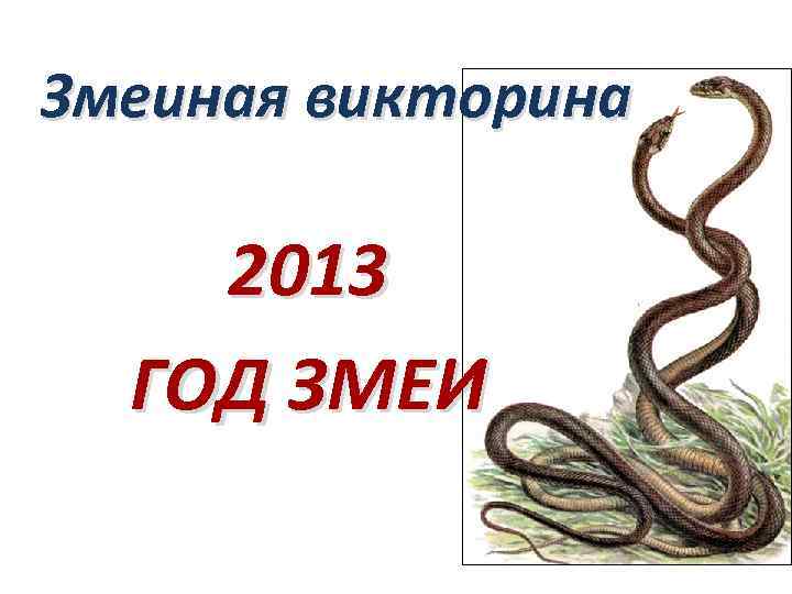 Змеиная викторина 2013 ГОД ЗМЕИ 