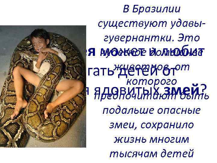 В Бразилии существуют удавыгувернантки. Это Какая змея может и любит чудесное домашнее животное, от