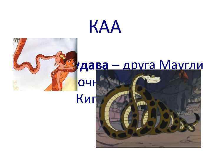 КАА Как звали удава – друга Маугли из сказочной повести Р. Киплинга? 