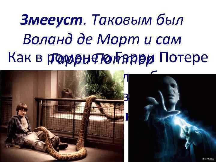 Змееуст. Таковым был Воланд де Морт и сам Как в романе о Гарри Потере