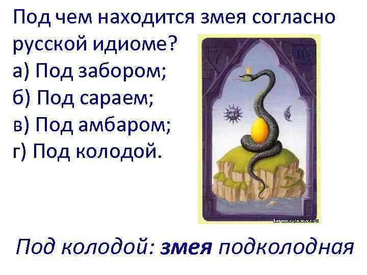 Под чем находится змея согласно русской идиоме? а) Под забором; б) Под сараем; в)