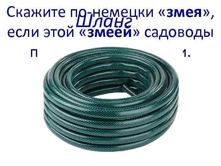 Скажите по-немецки «змея» , Шланг если этой «змеёй» садоводы поливают свои грядки. 