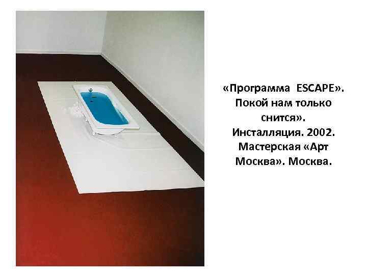  «Программа ESCAPE» . Покой нам только снится» . Инсталляция. 2002. Мастерская «Арт Москва»
