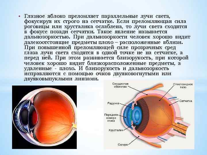 Перед сетчаткой расположена. Преломляющие среды глазного яблока. Преломляющая сила роговицы и хрусталика. Преломляющая сила хрусталика уменьшается. Цветное изображение сетчатки.