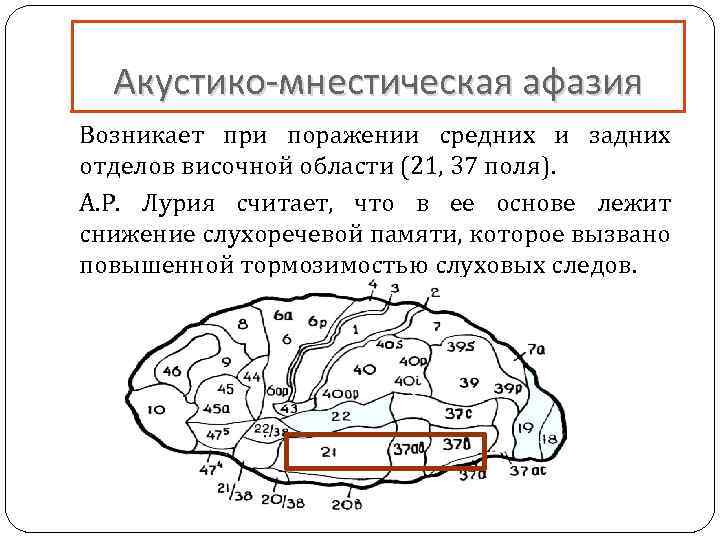 Акустико-мнестическая афазия Возникает при поражении средних и задних отделов височной области (21, 37 поля).