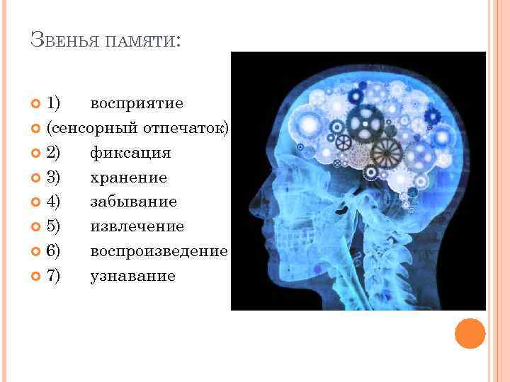 ЗВЕНЬЯ ПАМЯТИ: 1) восприятие (сенсорный отпечаток) 2) фиксация 3) хранение 4) забывание 5) извлечение