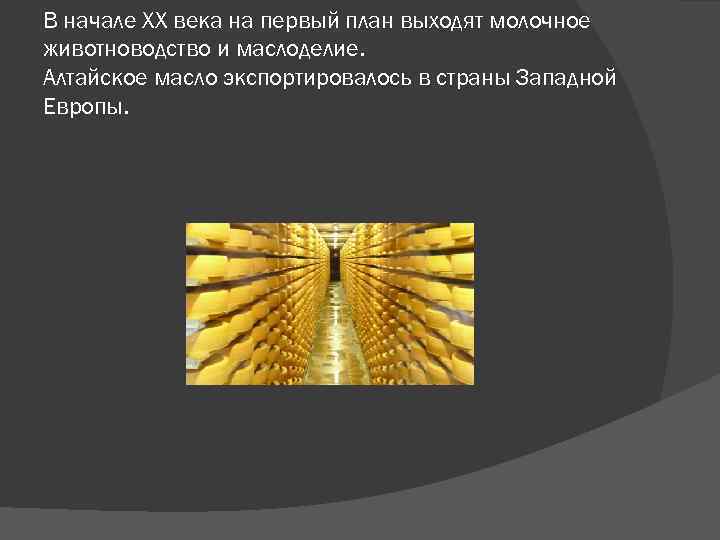 В начале ХХ века на первый план выходят молочное животноводство и маслоделие. Алтайское масло