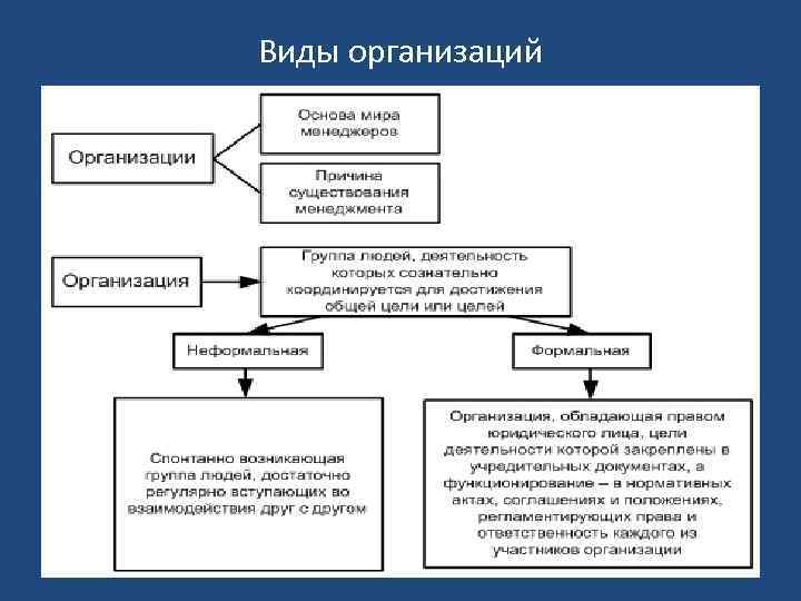 Виды организаций 
