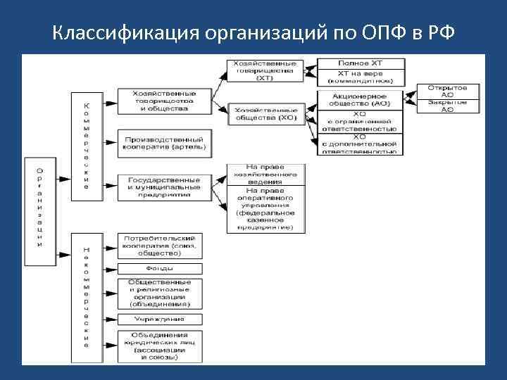 Классификация организаций по ОПФ в РФ 
