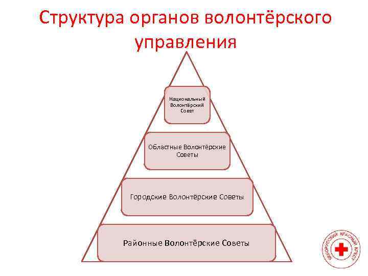 Структура органов волонтёрского управления Национальный Волонтёрский Совет Областные Волонтёрские Советы Городские Волонтёрские Советы Районные