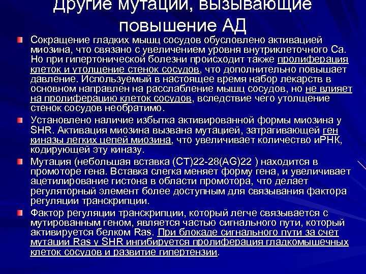 Другие мутации, вызывающие повышение АД Сокращение гладких мышц сосудов обусловлено активацией миозина, что связано