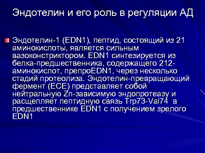 Эндотелин и его роль в регуляции АД Эндотелин-1 (EDN 1), пептид, состоящий из 21