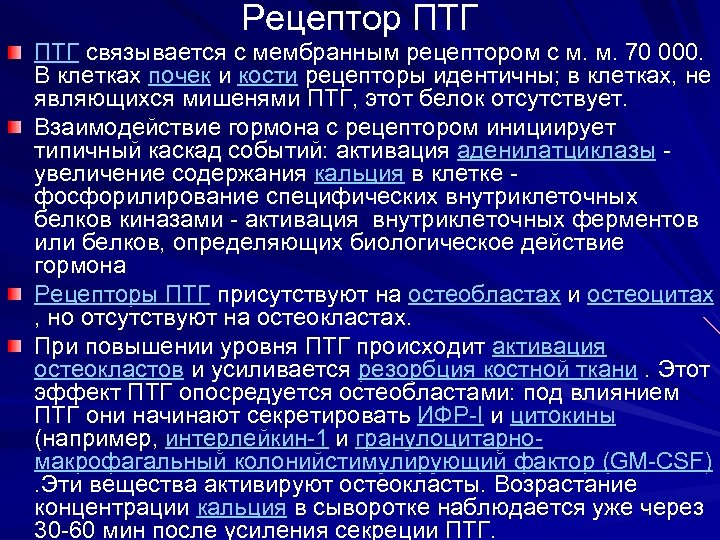Рецептор ПТГ связывается с мембранным рецептором с м. м. 70 000. В клетках почек