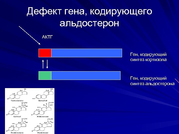 Дефект гена, кодирующего альдостерон АКТГ Ген, кодирующий синтез кортизола Ген, кодирующий синтез альдостерона 